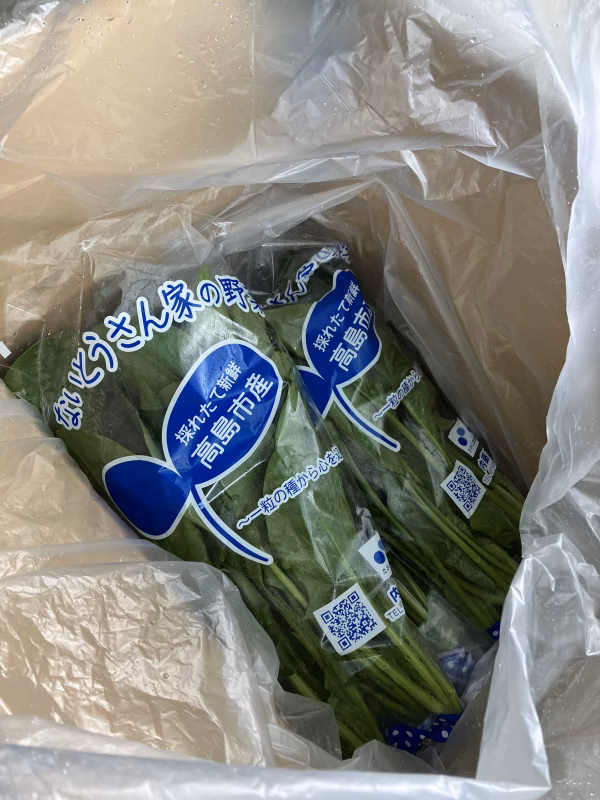 クール便湖国の畑から☆採りたてたっぷりほうれん草