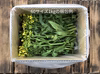 そのままサラダで！[信州産] 甘い蜜香る野沢菜の花
