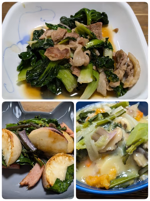 みんなの投稿の画像