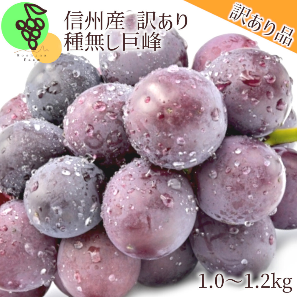 先行予約】訳あり種無し巨峰1.0~1.2kg|果物の商品詳細|ポケットマルシェ|産直(産地直送)通販 旬の果物・野菜・魚介をお取り寄せ 訳あり種無し巨峰 産地直送
