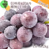 【先行予約】訳あり種無し巨峰1.0～1.2kg