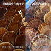 《数量限定20件!!》山六水産の２年貝【5kg】ヘラ付