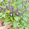 香月茶　人気茶葉３袋ギフトセット