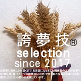 岩崎博之 | 株式会社　 誇夢技