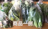 旬の野菜セット　7〜8種類