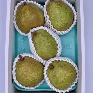 果物の女王　贈答品ラフランス　約2キロ5玉入り　大玉5Lサイズ