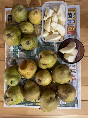 みんなの投稿の画像