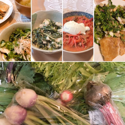 みんなの投稿の画像