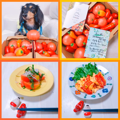 みんなの投稿の画像