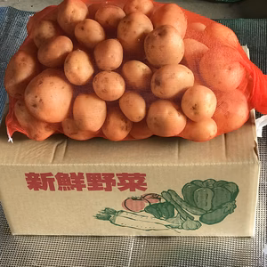 ジャガイモ（さんじゅう丸）８ｋｇ