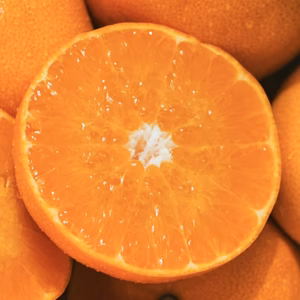 【贈答用】柑橘の大トロ【せとか】～とろける濃厚果実～ 家庭用