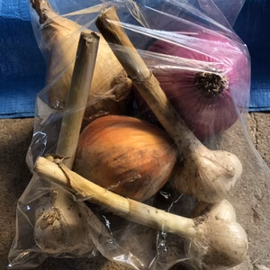 終了しました。受付できません。