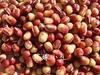 丹波篠山めぶき農房　４種類の小豆セット、又は単品