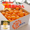 低農薬みかん10kgと西洋はちみつ小瓶セット