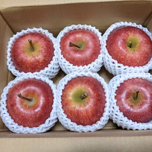 12月発送予約【美丘】副園主おすすめ！熟成で甘くなる不思議なりんご 農薬60%減