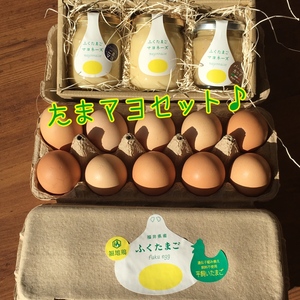 ふくたまご堪能！たまマヨセット(卵20個.マヨネーズ各種×1)