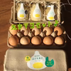 ふくたまご堪能！たまマヨセット(卵20個.マヨネーズ各種×1)