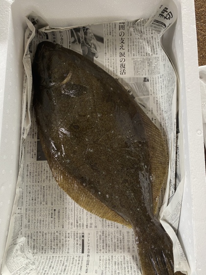 限定注意 幻の魚4kg以上 匠の活〆 サクラマス 農家漁師から産地直送の通販 ポケットマルシェ