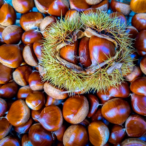 まるまるホクホクあまーい利平栗　1㎏