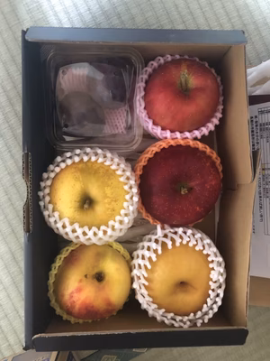 みんなの投稿の画像