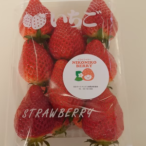 【3/13（土）高輪GW駅受取のみ】にこにこベリー