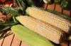 寺畑農園のゆめのコーン
