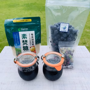 絶品！ブルーベリージャム まるごと手作りセット