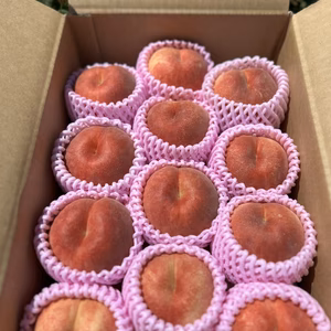 ‼️桃好きのニーズに応える桃「陽夏妃」‼️