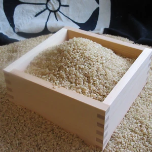 菊池掛け干し清流米　玄米５ｋｇ