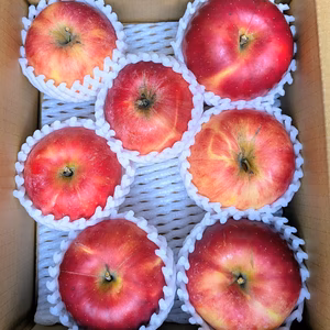 家庭用葉とらず 紅玉   約２Ｋ