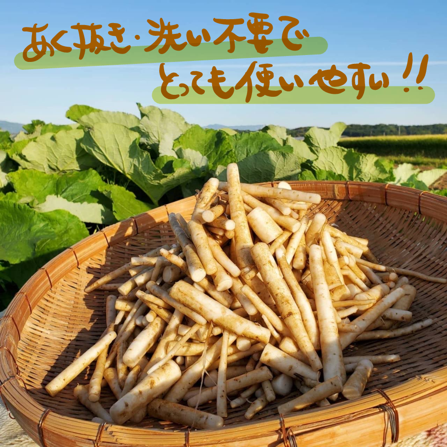 ごぼうの通販・お取り寄せ商品｜野菜｜ポケットマルシェ｜産地