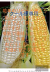 あま〜いとうもろこし計4本　糖度20〜22  白色2本　黄色2本　