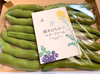 【ネコポス】朝採りそら豆を即日発送♪豆板醤作る？そのまま焼いちゃう？