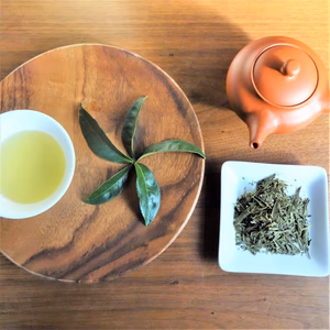 おまけ付♡5月上旬‼春煎茶を２００ｇ！贅沢に普段使い・農薬不使用お茶