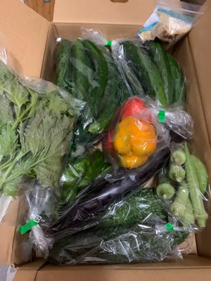 みんなの投稿の画像