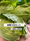 金春キャベツ（大きさによる）3玉＋お野菜