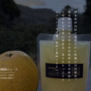 【ギフト】冷凍河内晩柑ジュース 1本150ml栽培期間中に農薬・化学肥料不使用