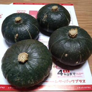 電子レンジで簡単調理❗北海道産ミニかぼちゃ栗っプチ❗食べ切りサイズ４個