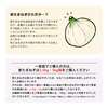 【お得品！M玉】新たまねぎ 七宝早生 淡路島産 兵庫県認証食品 令和6年収穫分