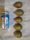 山梨県産ゴールド系キウイフルーツ（3種混合）約1.8〜1.85kg