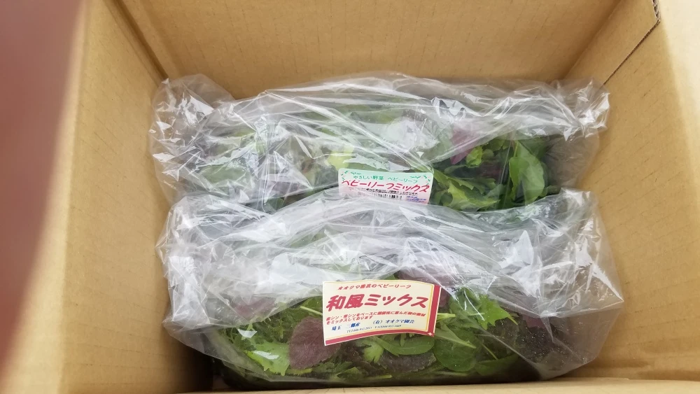 和風ベビーリーフ　洋風ベビーリーフ