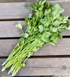 栽培期間農薬不使用　パクチー　1キロ