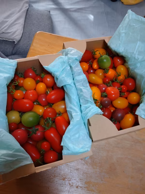 みんなの投稿の画像