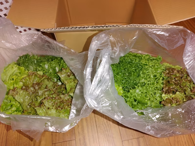 みんなの投稿の画像