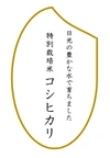 【新米】R4産 特別栽培米コシヒカリ 玄米5㎏