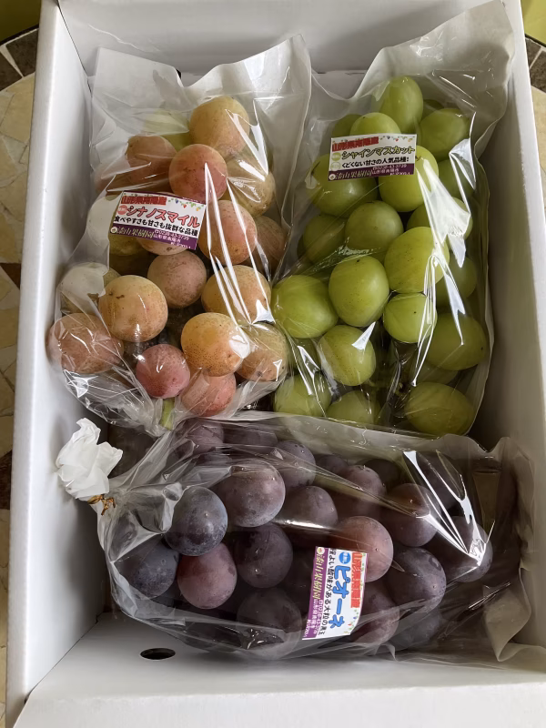 お買得！ご家庭用（訳あり）★大粒ぶどう食べ比べ！！おまかせ3～5品種入り