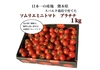 【希少な高濃度フルーツトマト】ソムリエミニトマト　プラチナ１kg