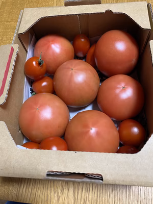 みんなの投稿の画像