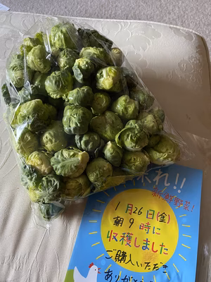 みんなの投稿の画像