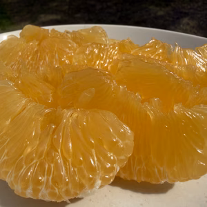 やみつき❗️完熟甘夏みかん！肥料なし農薬なし、自然栽培